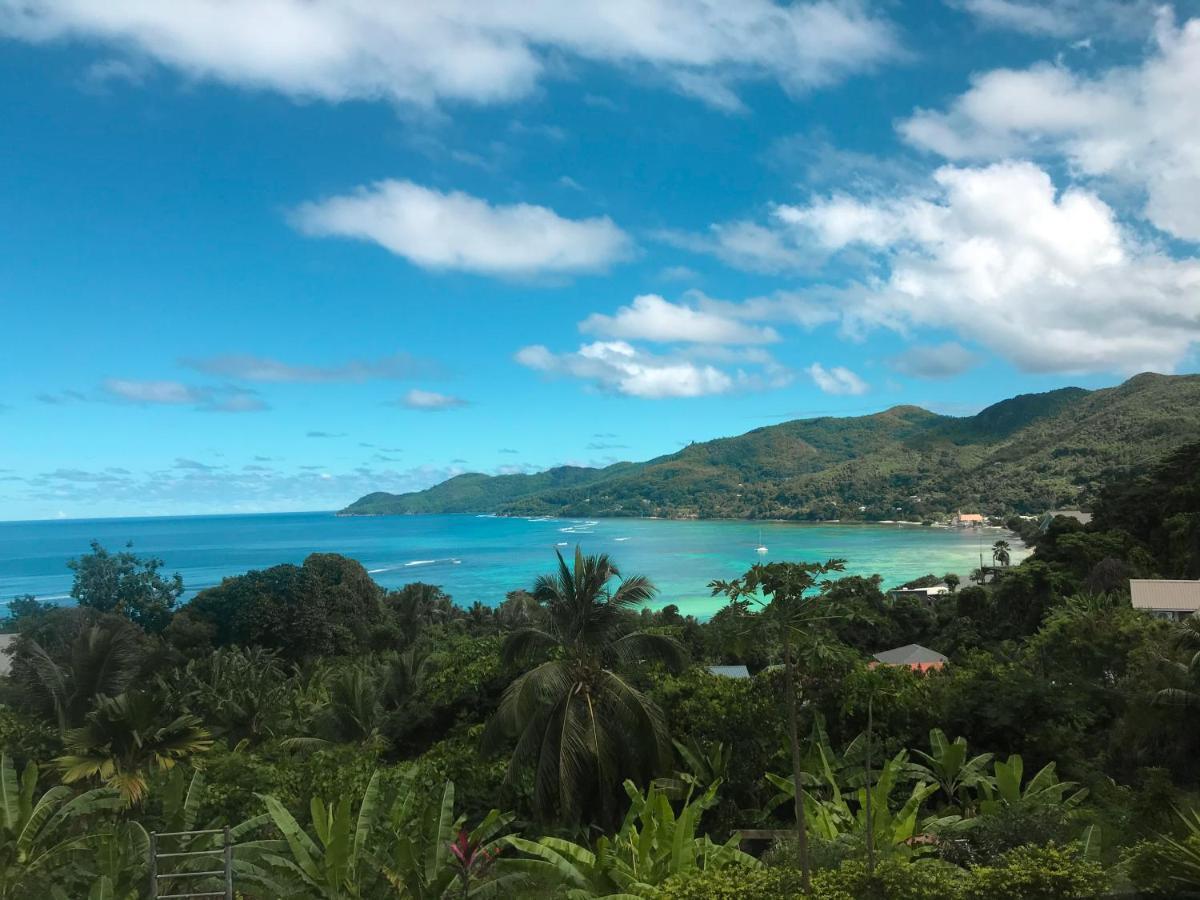 Seybreeze Villa Anse Royale Eksteriør bilde